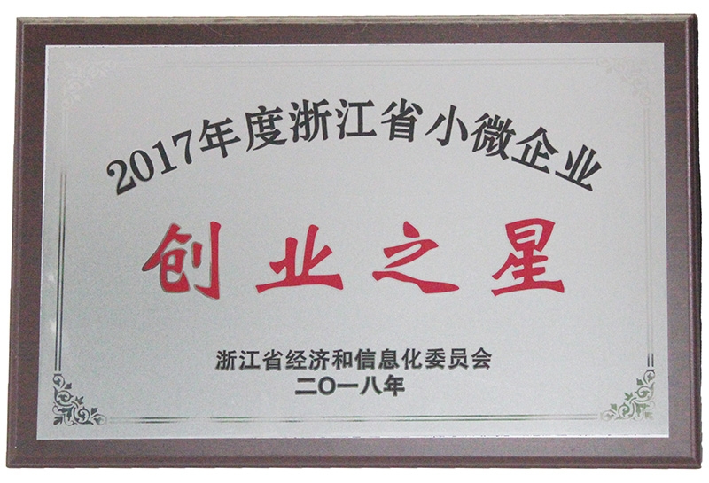 2017年度浙江省小微企業(yè)創(chuàng)業(yè)之星