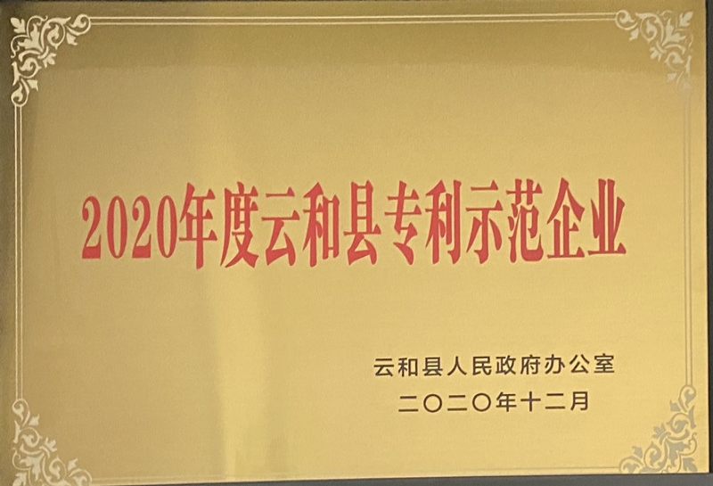 2020年度云和縣專(zhuān)利示范企業(yè)